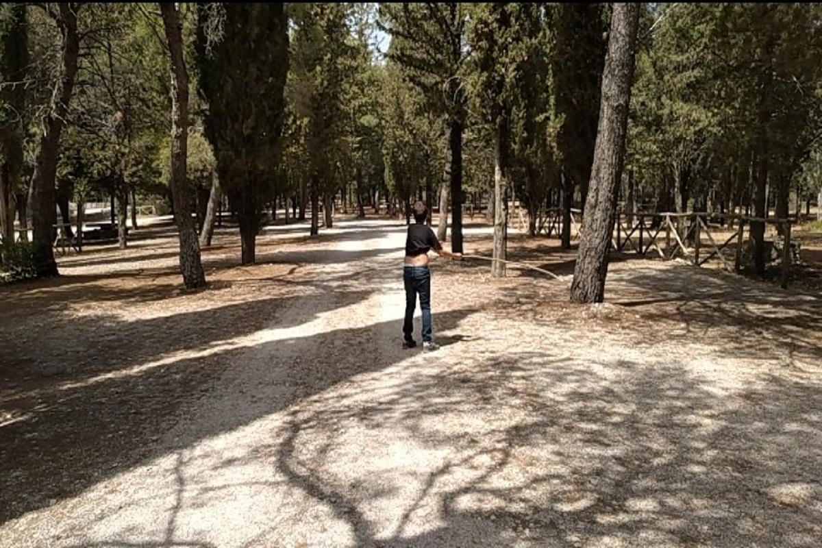 Giornata Internazionale del Picnic: 10 luoghi da Nord a Sud 10 Foresta di Mercadante, Bari