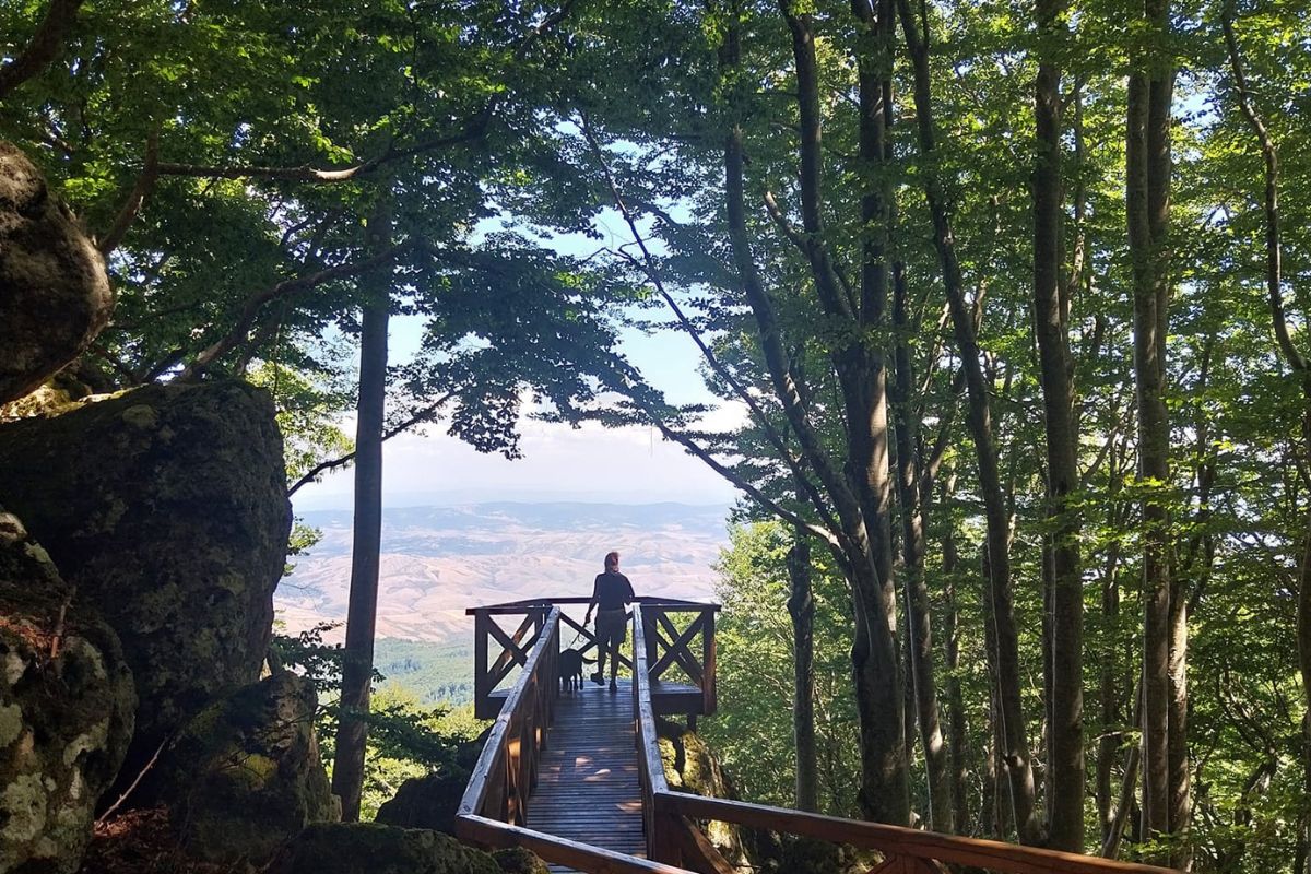 Itinerari dog trekking per la Giornata Internazionale del Cane 3 Giornata Internazionale del Cane-Dog trekking Monte Amiata e Val d'Orcia
