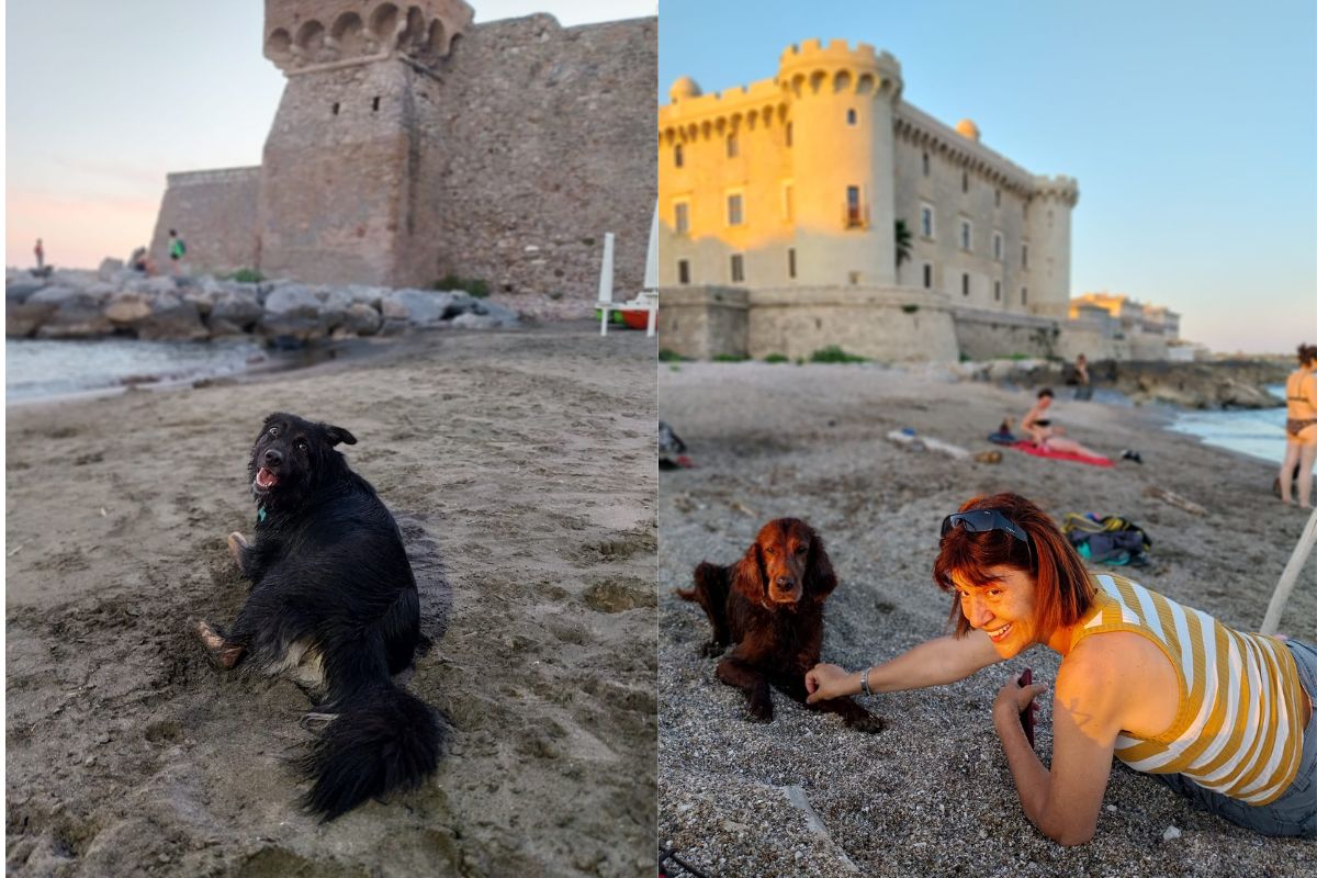 Itinerari dog trekking per la Giornata Internazionale del Cane 5 Giornata Internazionale del Cane- Momenti di un'escursione a Palo Laziale- Castello Odescalchi (Lazio)