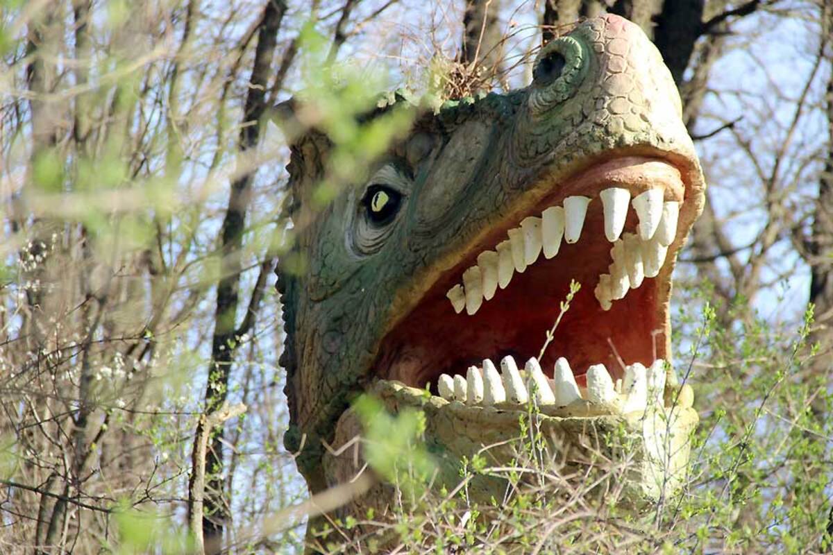 Parchi da visitare con bambini: gli insoliti 5 Parco Dinosauri le Pietre del Drago, testa di un grande dinosauro