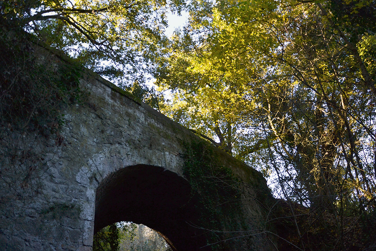 Arco sul sentiero nel bosco nei pressi del Sasso Tagliato sul trekking tra Umbria e Lazio
