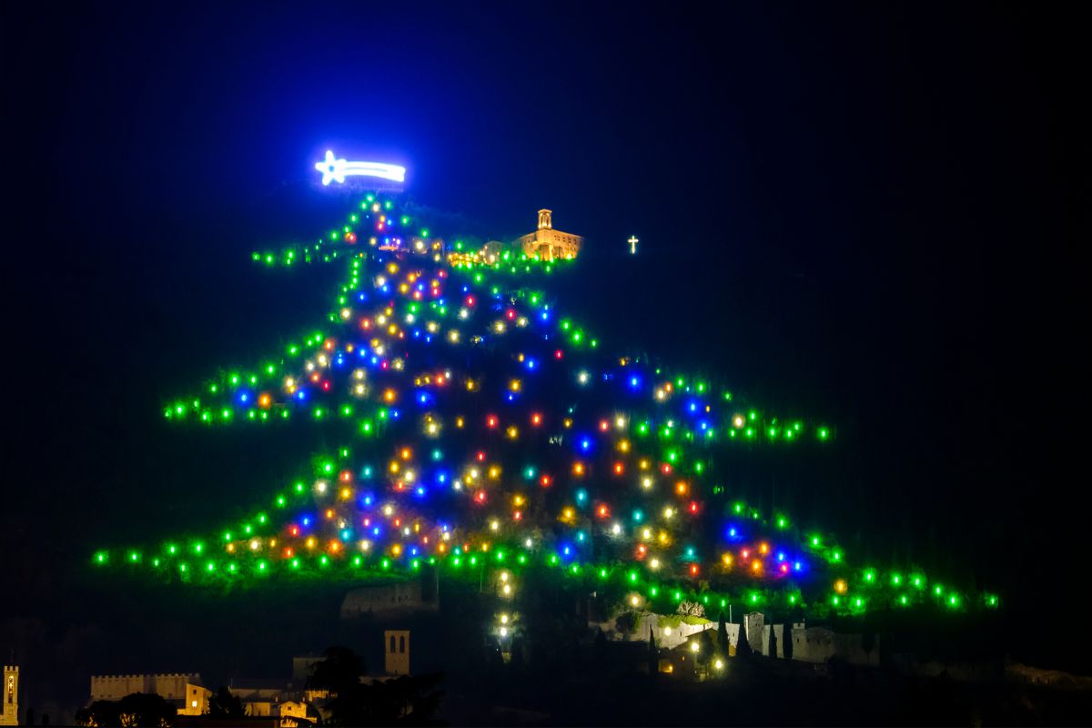 Albero di Natale di Gubbio da vicino 
