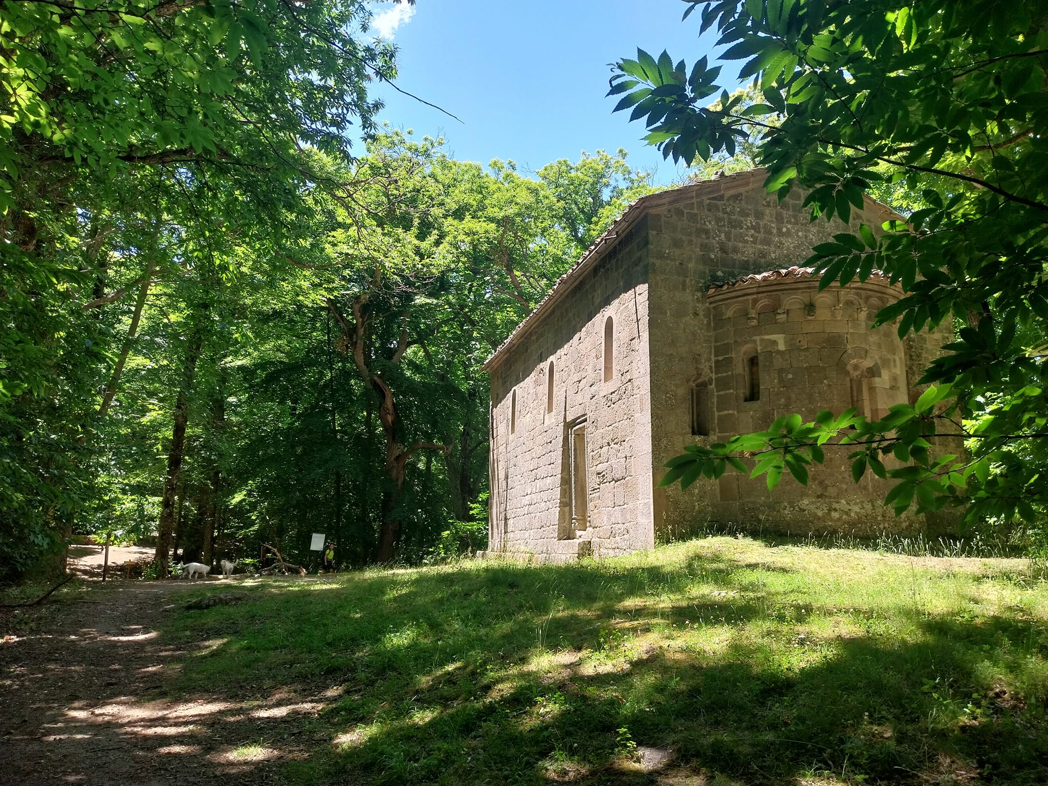 Itinerari dog trekking per la Giornata Internazionale del Cane 4 Itinerari dog trekking, passegiata all’eremo