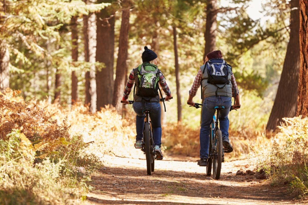 Escursioni In mountain bike nel nel Parco dello Stelvio