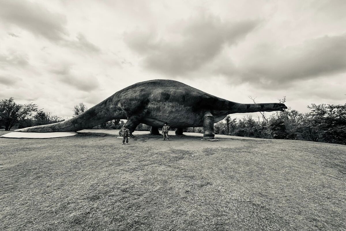 Parchi da visitare con bambini: gli insoliti 7 parchi da vedere con i bambini Parco della Preistoria, dinosauro gigante in aperta campagna