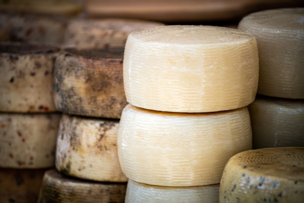 Pecorino sardo