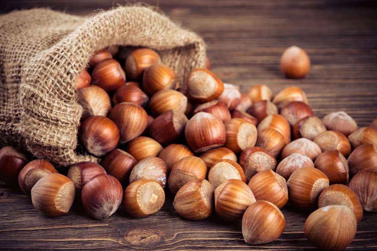 Sagre d’autunno 2024