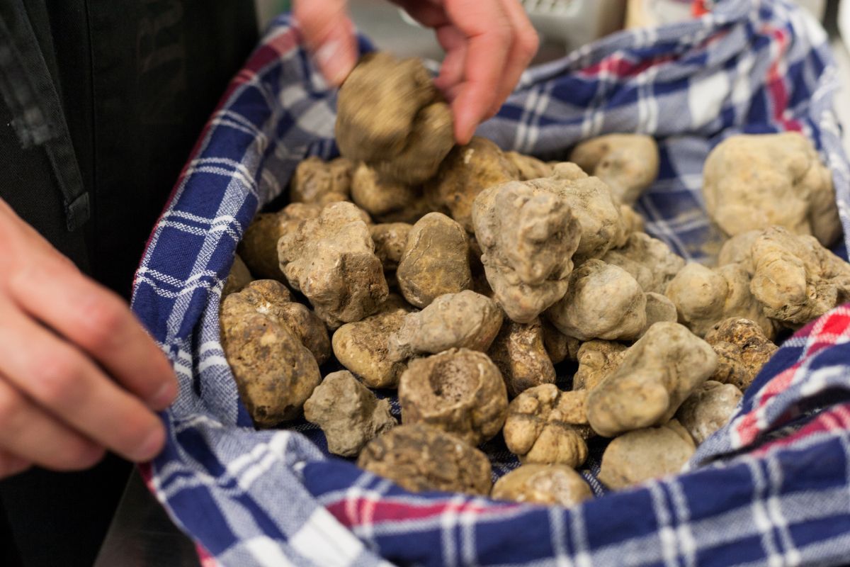 Sagre d’autunno 2024