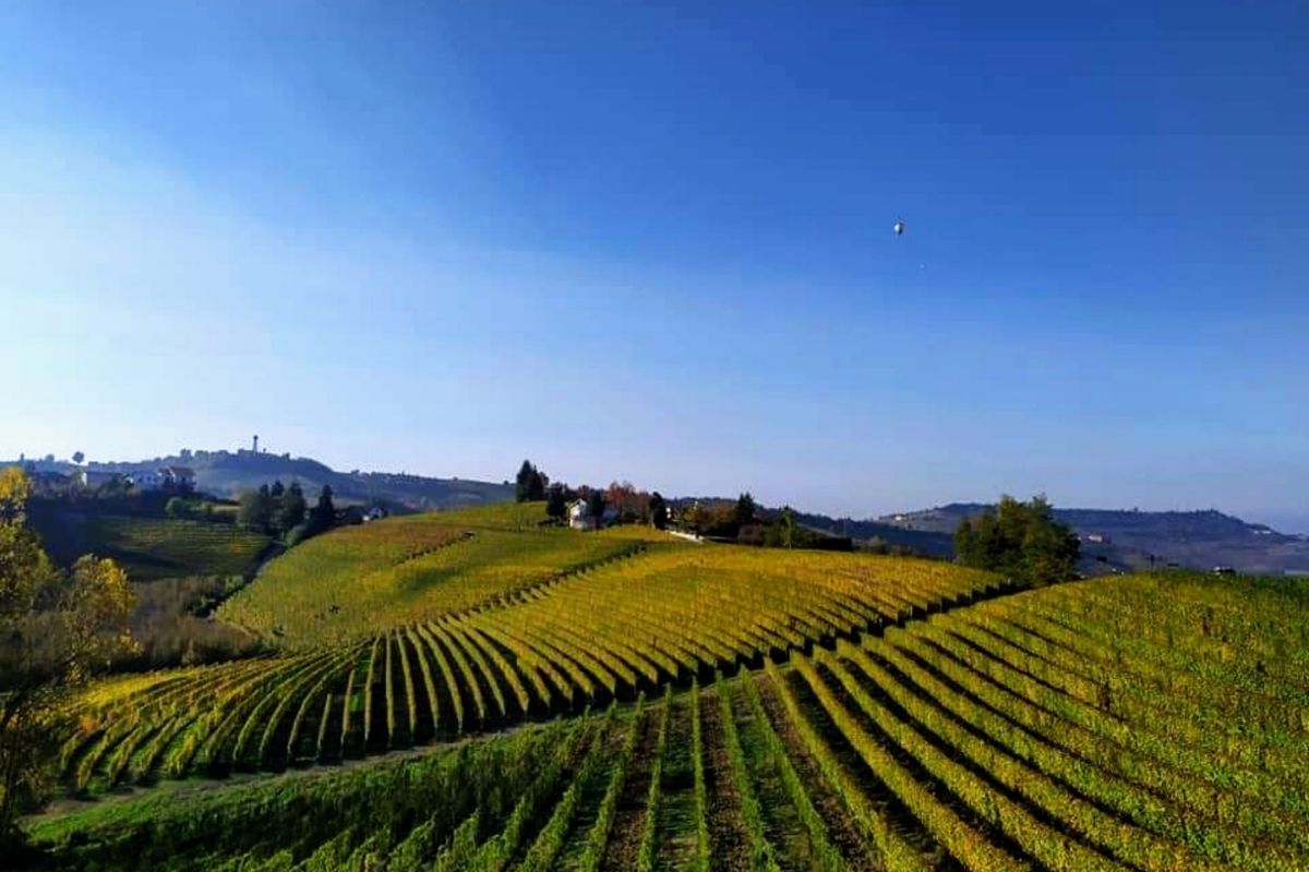 Unesco, paesaggi vitivinicoli in Piemonte. Langhe Roero e Monferrato