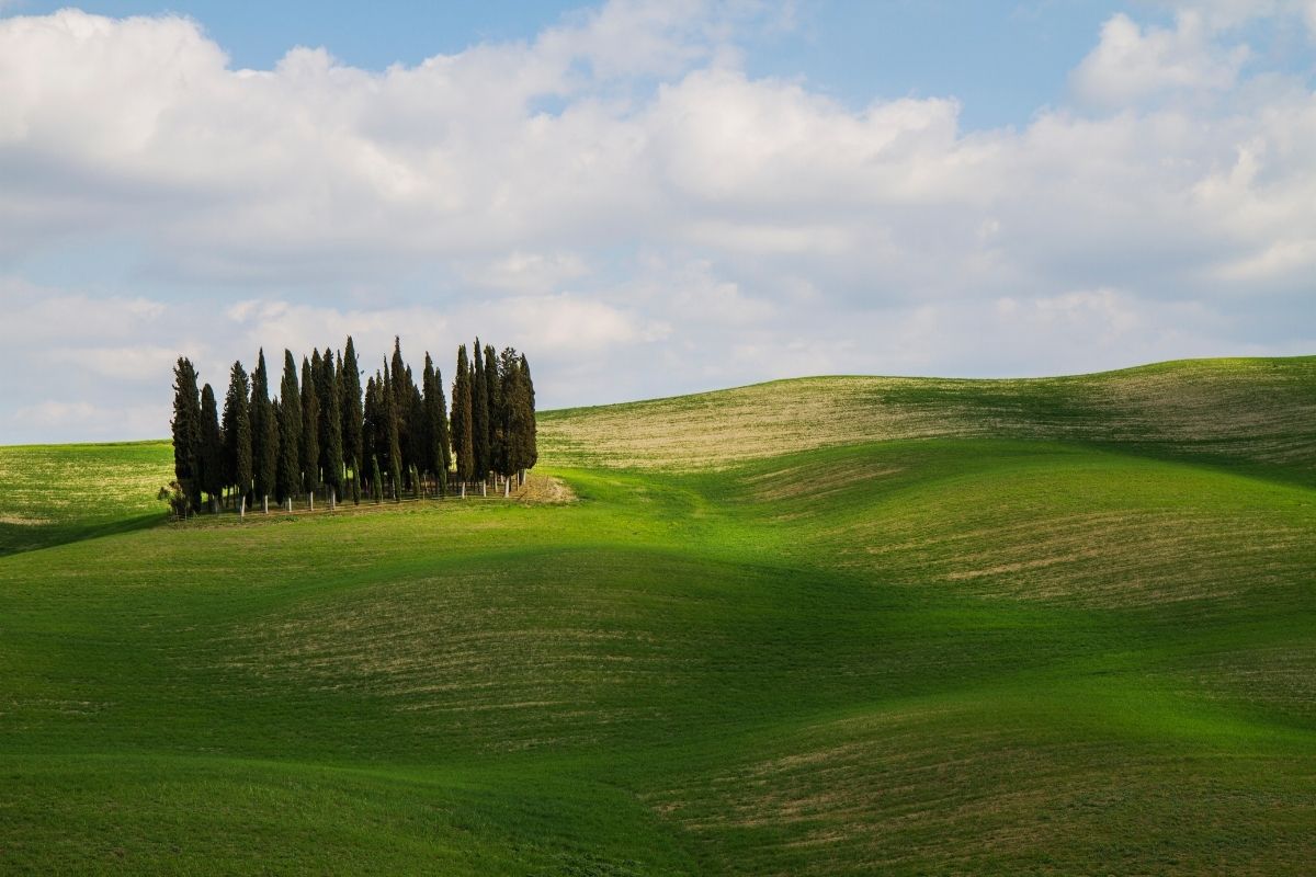 Unesco, Veduta colline della Val d'Orcia