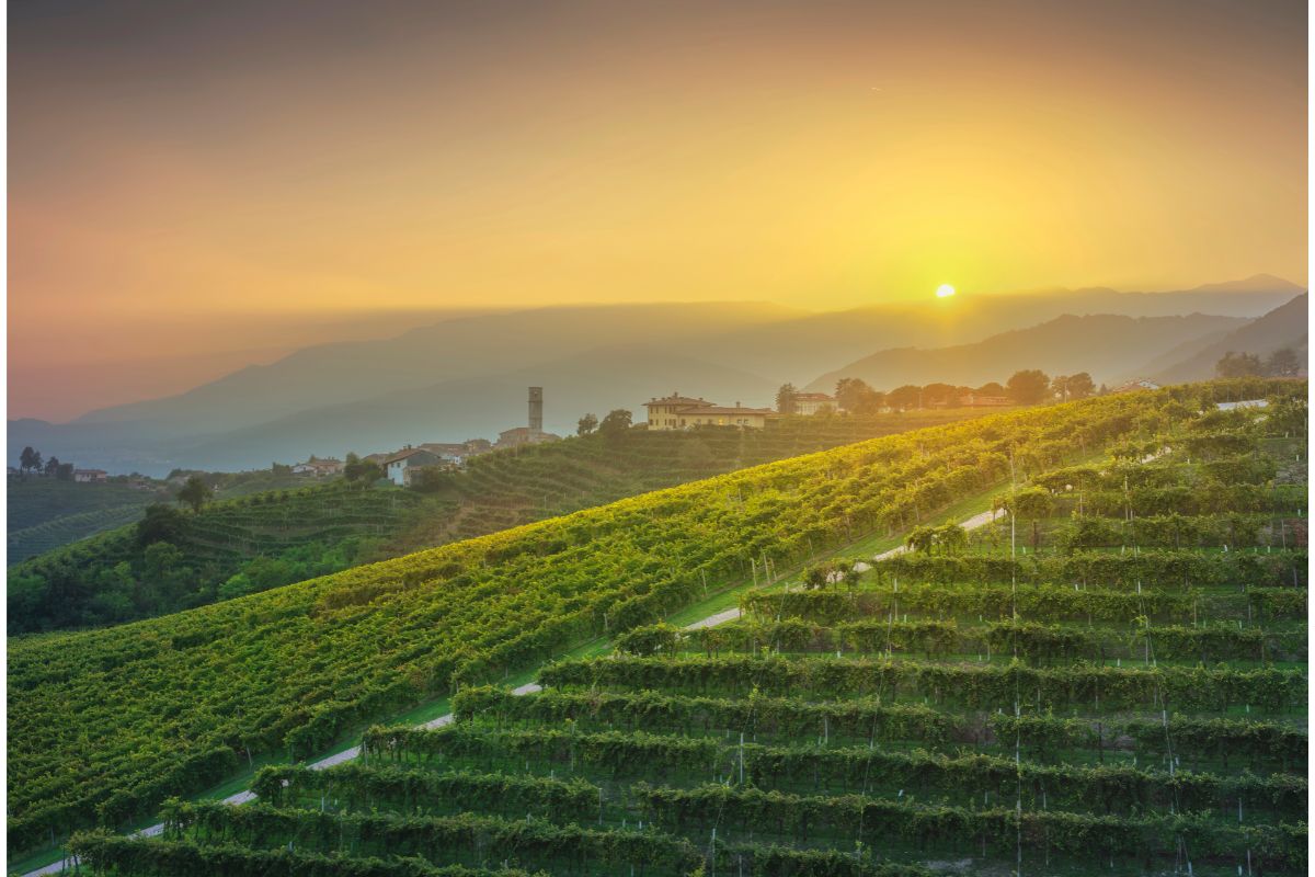 Il Veneto scrigno di bellezze naturali e tesori d’arte 1 Veneto, veduta delle colline del Prosecco in Valdobbiadene